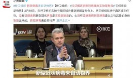 惊天爆料新冠病毒视频,新冠病毒视频揭露真相，震惊全球