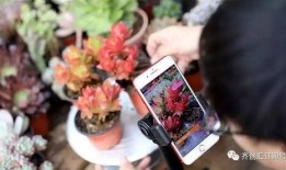 塑料树手机在线观看,塑料树手机在线观看，带你穿越时光隧道